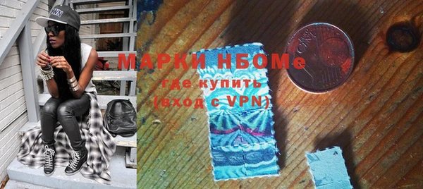 твердый Надым