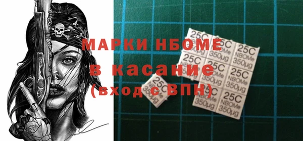 твердый Надым