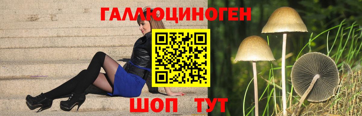 Псилоцибиновые грибы мицелий Алексеевка