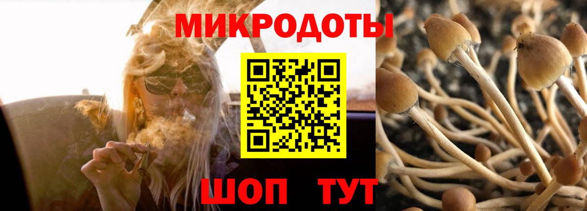 Алексеевка  Псилоцибиновые грибы GOLDEN TEACHER  Вход с VPN  Галлюциногенные грибы MAGIC MUSHROOMS 
